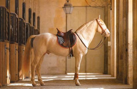 how much are hermes saddles